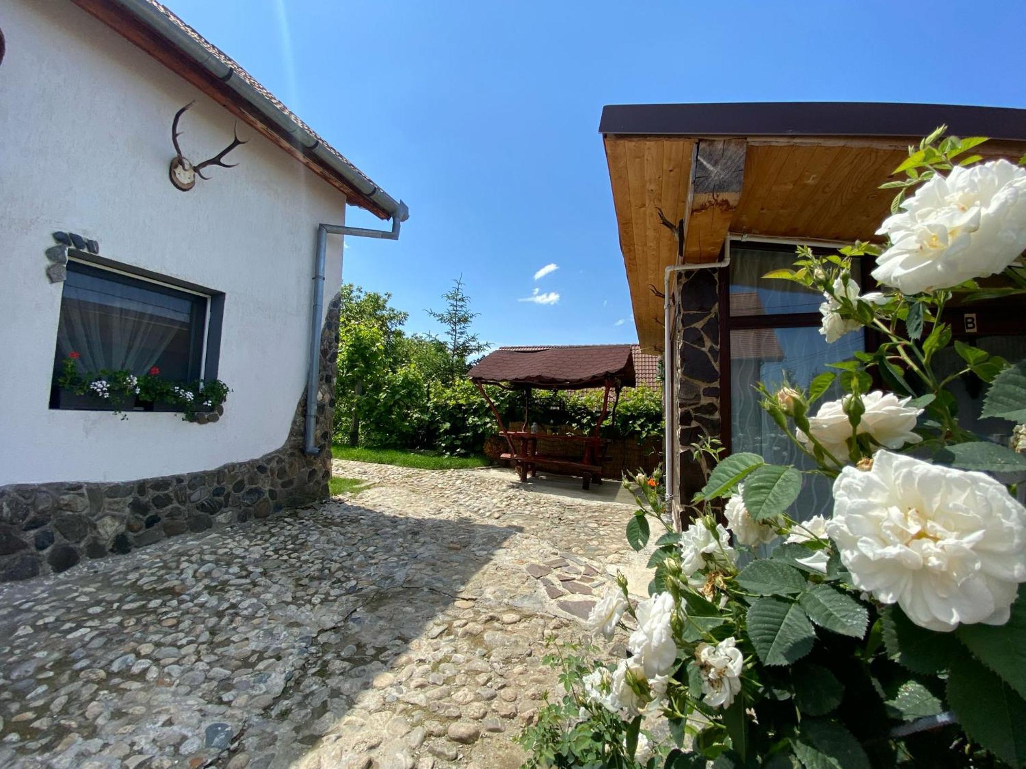 Cazare La Luiza B Sura Mare Exteriör bild